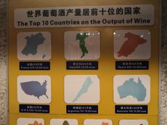 -青岛葡萄酒博物馆
