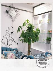 -蕾特恩专业祛痘国际连锁