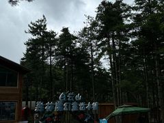 -洛阳白云山景区