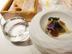 -蝶舍·MAISON PAPILLON