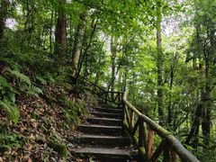 -龙苍沟森林公园