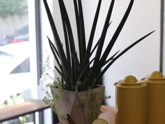 OrangeColdBrew-研途咖啡馆(健康路店)