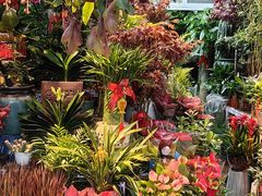 -三旗百汇商品城