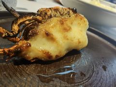 -鑫悦诚府·新鲁菜·餐厅(趵突泉店)