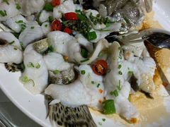 特色鲈鱼-陶缘一号·四季缘·老字号顺德菜·户外婚礼家宴(西滘店)