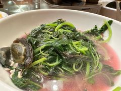 -衡厨(中南店)