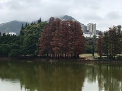 -四海公园(南山区)