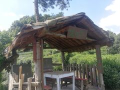 -杭州少年儿童公园