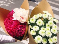 -双季花艺园艺市场(浦东店)