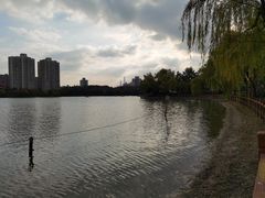 -黄兴公园