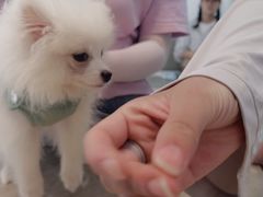 -宠欣安宠物医院·包河区中心医院