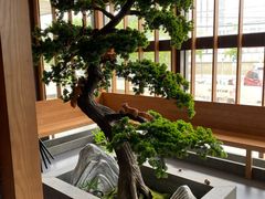 大堂-松子料理(亮马桥店)