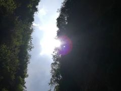 -苗人谷