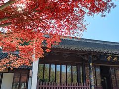 -苏州文庙(姑苏区)