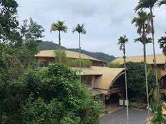 -海南槟榔谷黎苗文化旅游区