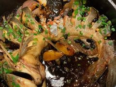 -金龙寨(解西店)