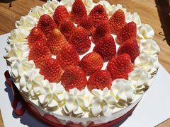 生日蛋糕-好利来(宣武门店)