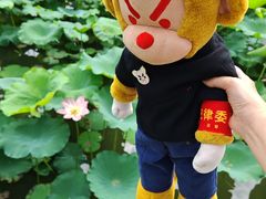 -惠州西湖丰渚园