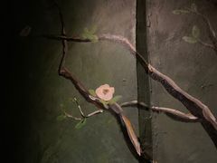 -格兰酒吧Glen Bar