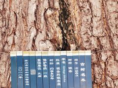 -苏州碑刻博物馆