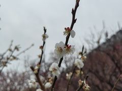 -北京明城墙遗址公园