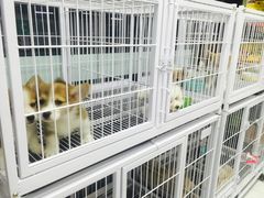 -FAELING PETS美天灵宠物(富力广场店)