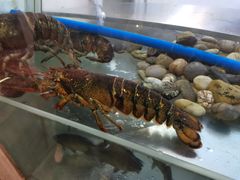 -新兴·金羊座·粤菜点心(乐峰店)