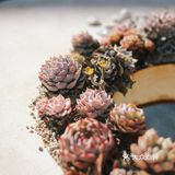 昆明秘境M60创意园+拍照攻略📸