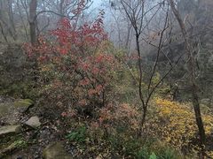 -太和山风景区