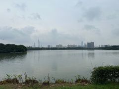 -海珠湖公园