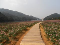 -广州市石门国家森林公园