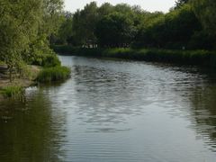 -大兴滨河森林公园