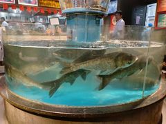 -魏铭鱼头捞饭(晋阳路店)