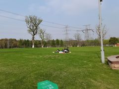 -长田漾湿地公园