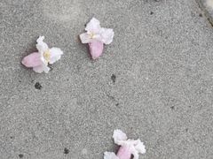 -漕溪路(地铁站)