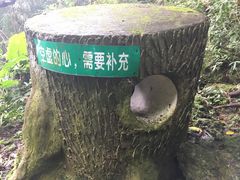 -七仙岭温泉国家森林公园