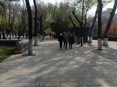 -莲湖公园