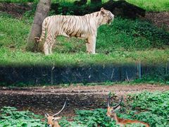 -杭州野生动物世界