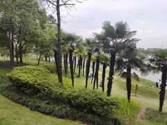 -美兰湖景区