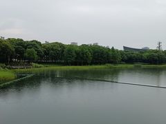 -尚贤河湿地