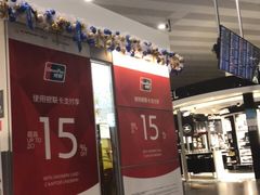 -谢列梅捷沃国际机场