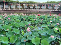 -广州莲花山旅游区