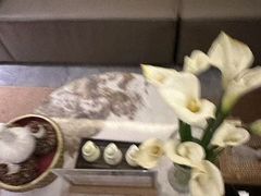 -象泰SPA·泰式按摩·足疗(卓悦中心店)