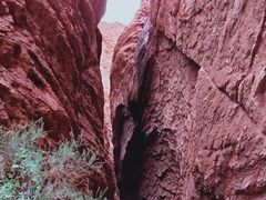 -天山神秘大峡谷