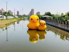 -菊园百果园