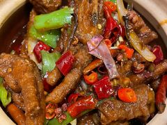 -福苗小骆驼烧烤(莲湖路店)
