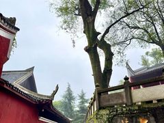 -邓老汉燃面村(水井街店)