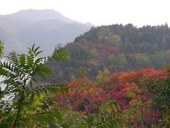 -乌龙峡谷景区
