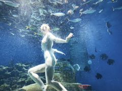 -海合安武汉极地海洋公园