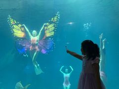 -福州罗源湾海洋世界旅游区